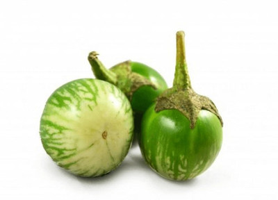 XOLDA Brinjal Green Seed(77 per packet)