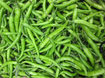 ginnienterpris Green Chilli Seed(170 per packet)