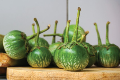 XOLDA Brinjal Green round Seed(42 per packet)