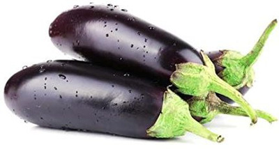 modernseed Brinjal Seed(150 per packet)