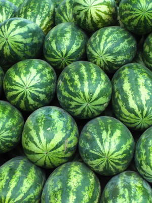 Paudha Watermelon Seed(42 per packet)