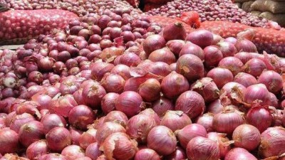 PLANTZON Onion Seed(14 per packet)