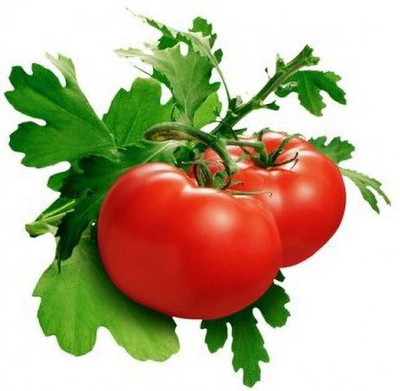 XOLDA Tomato TS 89 Seed(45 per packet)