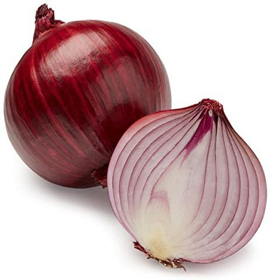 Paudha Onion Seed(51 per packet)