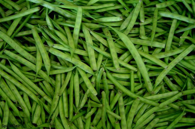 Paudha CLUSTER BEANS Seed(10 per packet)