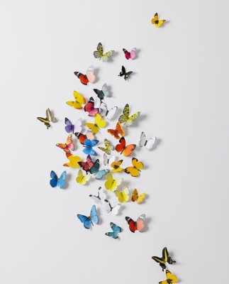 JAAMSO ROYALS 21 cm butterfly Magnetic Sticker(Pack of 1)