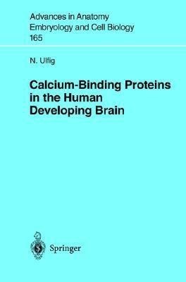 Calcium-Binding Proteins in the Human Developing Brain(English, Paperback, Ulfig N.)