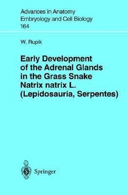 Early Development of the Adrenal Glands in the Grass Snake Natrix natrix L. (Lepidosauria, Serpentes)(English, Paperback, Rupik W.)