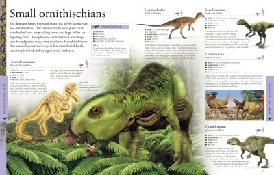 Dinosaurs a Children's Encyclopedia(English, Hardcover, DK)