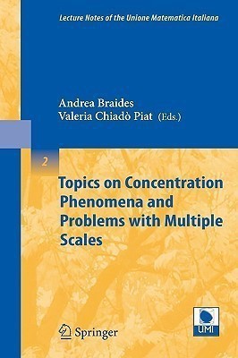 Topics on Concentration Phenomena and Problems with Multiple Scales(English, Paperback, unknown)