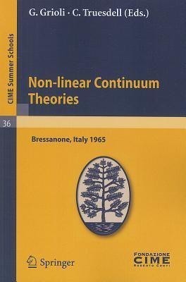 Non-linear Continuum Theories(English, Paperback, unknown)