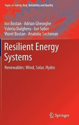 Resilient Energy Systems(English, Hardcover, Bostan Ion)