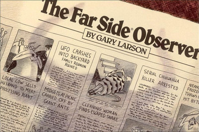 The Far Side (R) Observer(English, Paperback, Larson Gary)