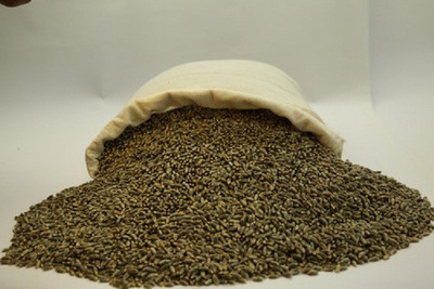 Sjeme Imported (Rare) Black Wheatgrass Seed Seed(175 per packet)