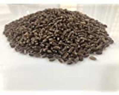 Sjeme Most Healthy Black Wheatgrass Seed Seed(1000 per packet)