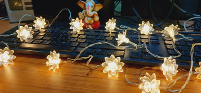 PragAart 16 LEDs 4.01 m Yellow Steady Flower Rice Lights(Pack of 2)
