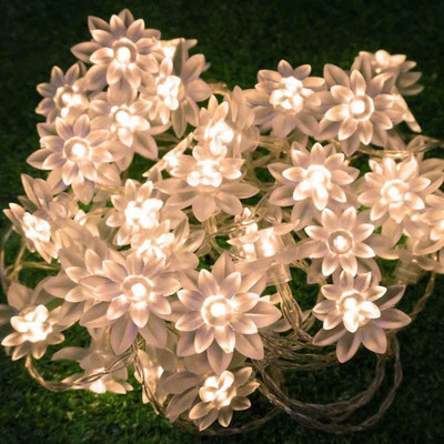 PragAart 16 LEDs 4.01 m Yellow Steady Flower Rice Lights(Pack of 1)