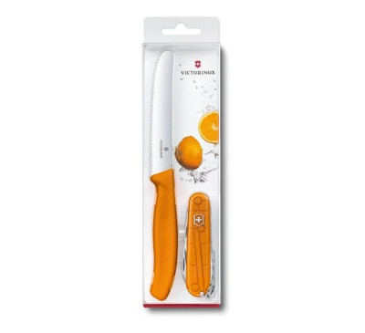 

Victorinox Stainless Steel Knife Set(Pack of 2)