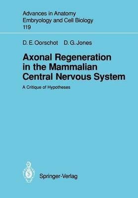 Axonal Regeneration in the Mammalian Central Nervous System(English, Paperback, Oorschot Dorothy E.)