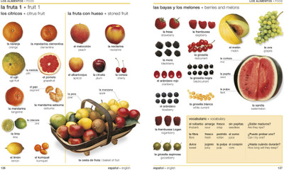 Spanish-English Bilingual Visual Dictionary with Free Audio App(English, Paperback, DK)