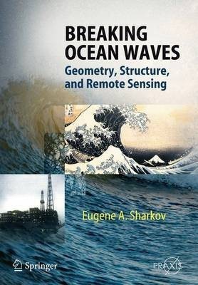 Breaking Ocean Waves(English, Paperback, Sharkov Eugene A.)