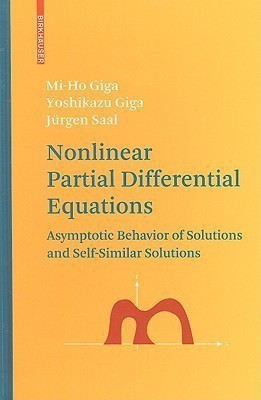 Nonlinear Partial Differential Equations(English, Hardcover, Giga Mi-Ho)
