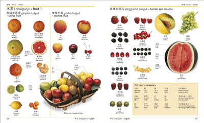 Mandarin Chinese-English Bilingual Visual Dictionary with Free Audio App(English, Paperback, DK)