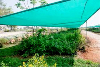 SIDDHI GREEN NET 10X10 FEET (120X120 INCH) Portable Green House(Green)