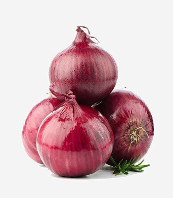 YOUNG STAR (IN ONION SEEDS F1 HYBRID Seed(500 per packet)