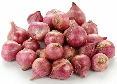 CYBEXIS Small Onion Vegetable Seeds-500 Seeds Seed(500 per packet)
