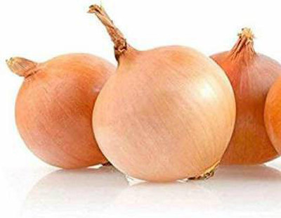 YOUNG STAR Onion Seed(500 per packet)