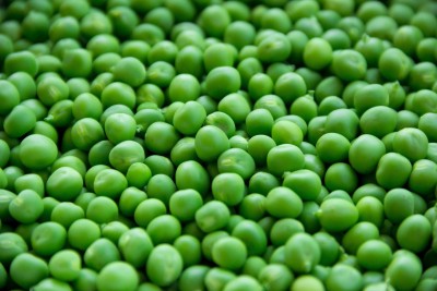 Countgreen Plus Pea (Matar/Peas/Matar Ki Fali) Seed(20 per packet)