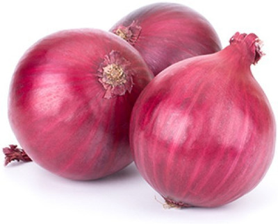 YOUNG STAR ONION Seed(500 per packet)