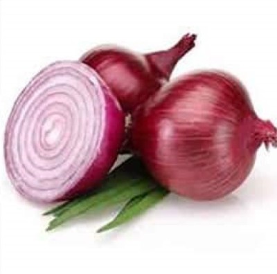 YOUNG STAR Onion Seed(500 per packet)