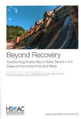 Beyond Recovery(English, Paperback, Preston Benjamin Lee)