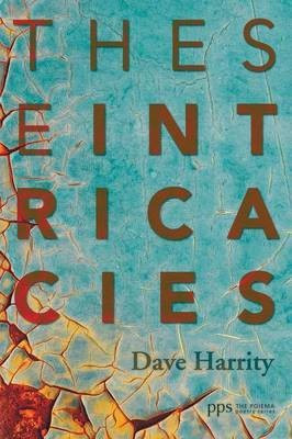These Intricacies(English, Paperback, Harrity David)