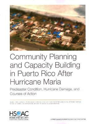 Community Planning and Capacity Building in Puerto Rico After Hurricane Maria(English, Paperback, Towe Vivian L)