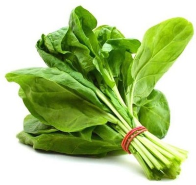 U-GROW INDIA Spinach Seed(200 per packet)