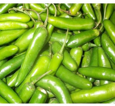 XOLDA Green Chilli F1 Jwala Seed(13 per packet)