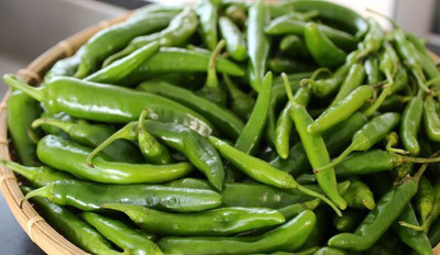 Corofitam Chilli Vasudha Seed(38 per packet)
