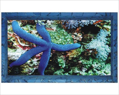 Jump up 75 cm Star fish on sea level Self Adhesive Sticker(Pack of 1)