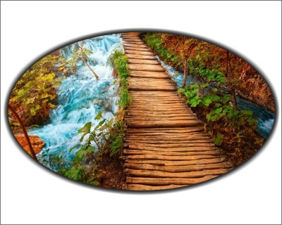 Jump up 74 cm Wooden bridge in the river Self Adhesive Sticker(Pack of 1)