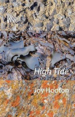 High Tide(English, Paperback, Hooton Joy)