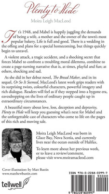 Plenty to Hide(English, Paperback, MacLeod Moira Leigh)