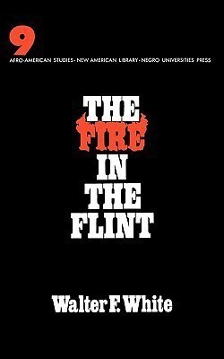 The Fire in the Flint(English, Hardcover, White Walter Francis)