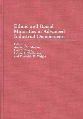 Ethnic and Racial Minorities in Advanced Industrial Democracies 1st Edition(English, Hardcover, Fraga Luis R.)