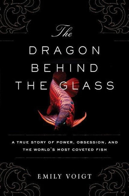 The Dragon Behind the Glass(English, Paperback, Voigt Emily)