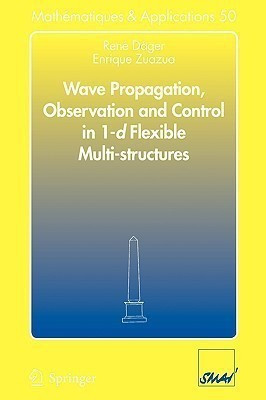 Wave Propagation, Observation and Control in 1-d Flexible Multi-Structures(English, Paperback, Dager Rene)
