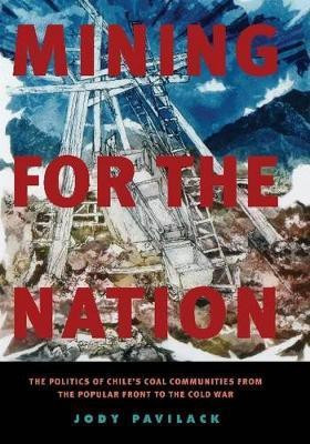 Mining for the Nation(English, Hardcover, Pavilack Jody)