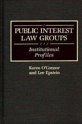 Public Interest Law Groups(English, Hardcover, Epstein Lee)